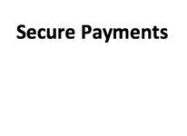 Secure Payments by Stripe icon